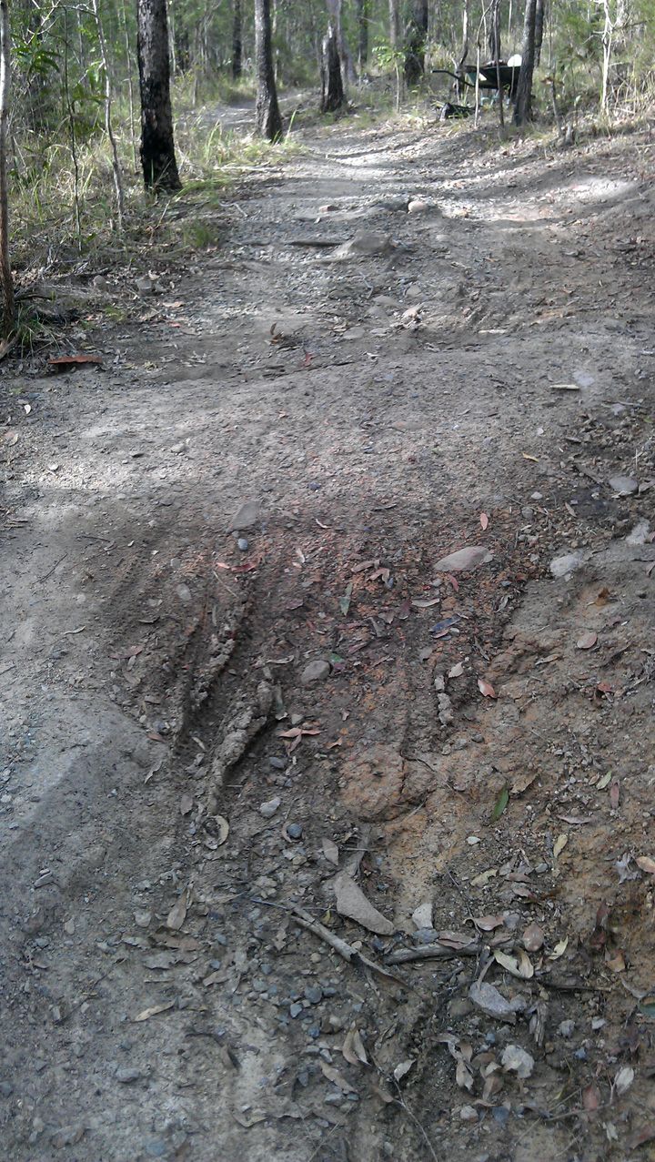 Trail Damage 1